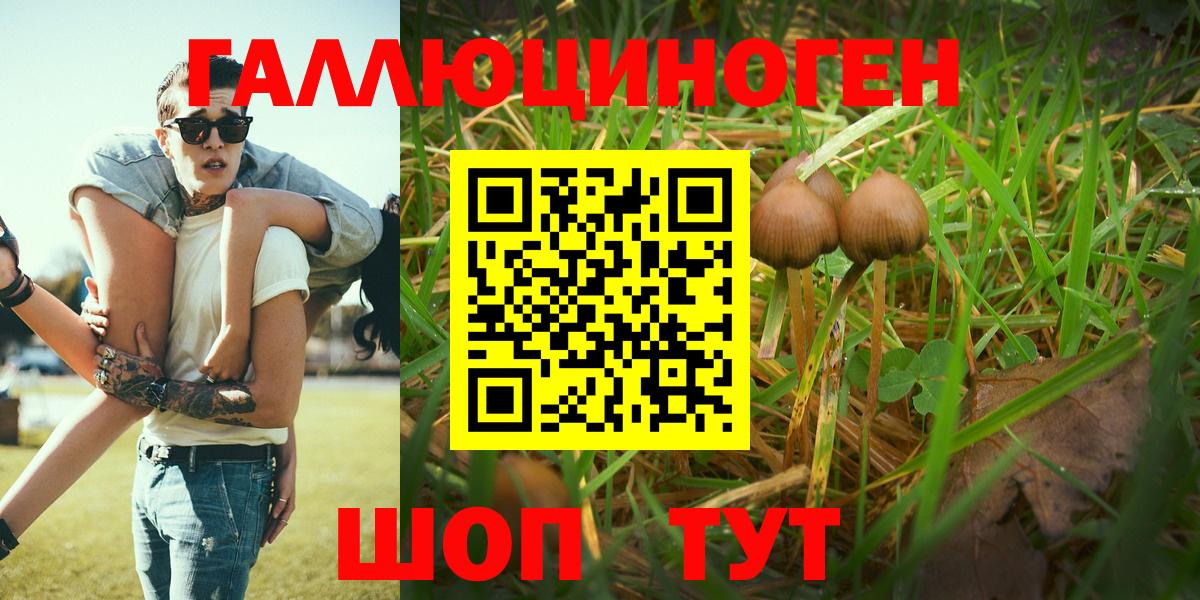Псилоцибиновые грибы мухоморы  Вход с VPN  Юрга 